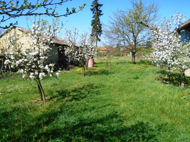 Bíňa - rodinný dom na predaj