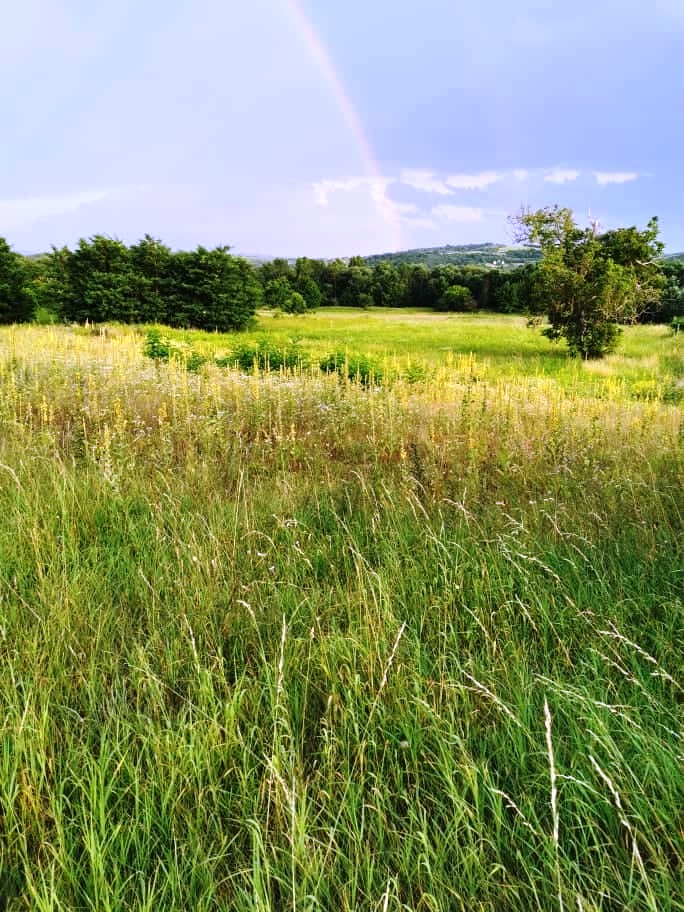 Radvaň nad Dunajom - pozemky pri Dunaji na predaj