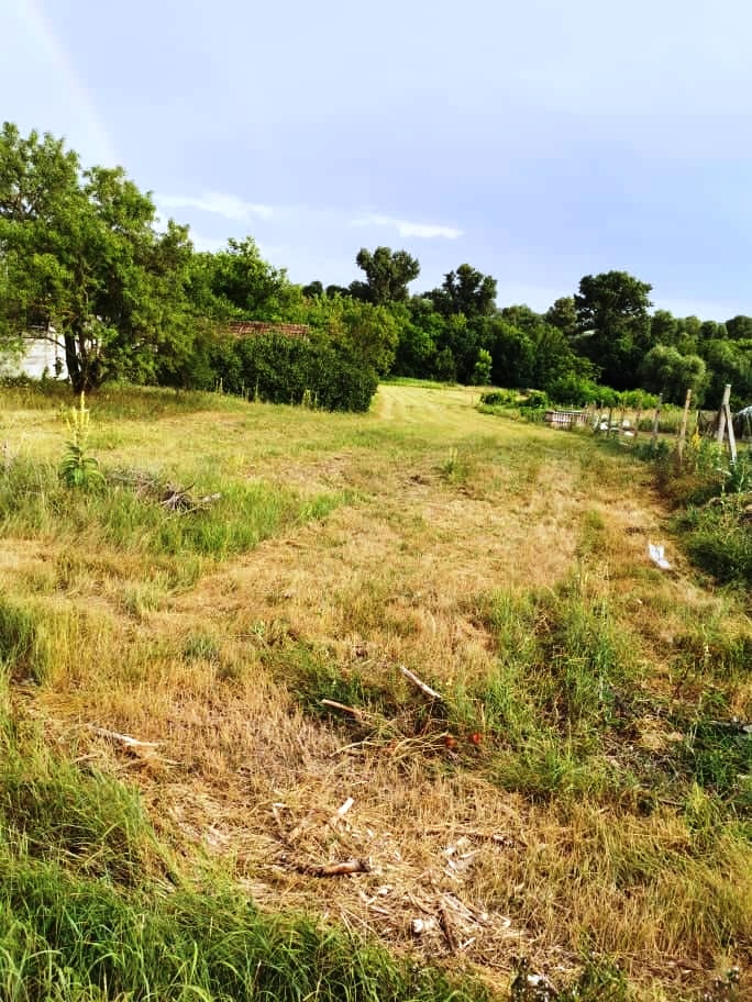 Radvaň nad Dunajom - pozemok v tesnej blízkosti Dunaja