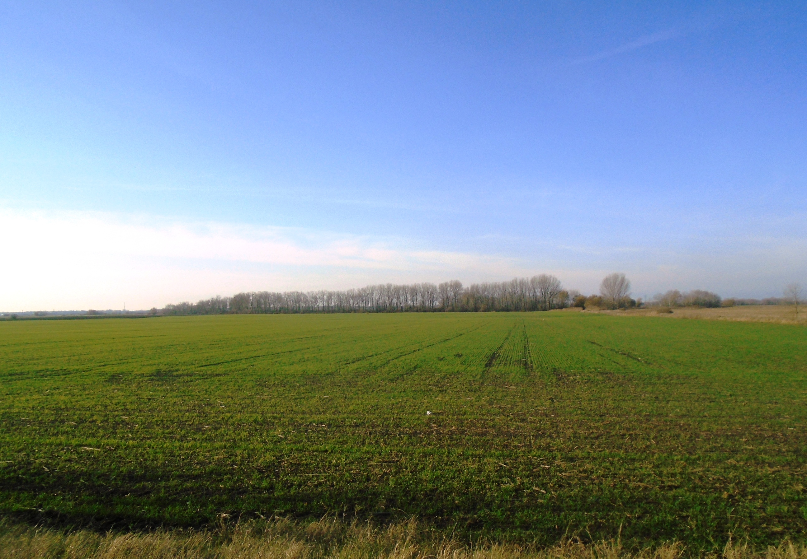 Predaj ornej pôdy, Tehla - okres Levice