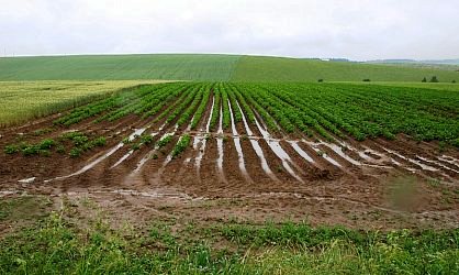 Orná pôda na predaj - okres Dunajská Streda